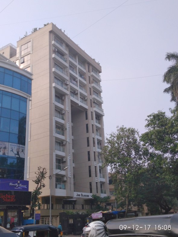 Main - June Blossoms, Bandra West